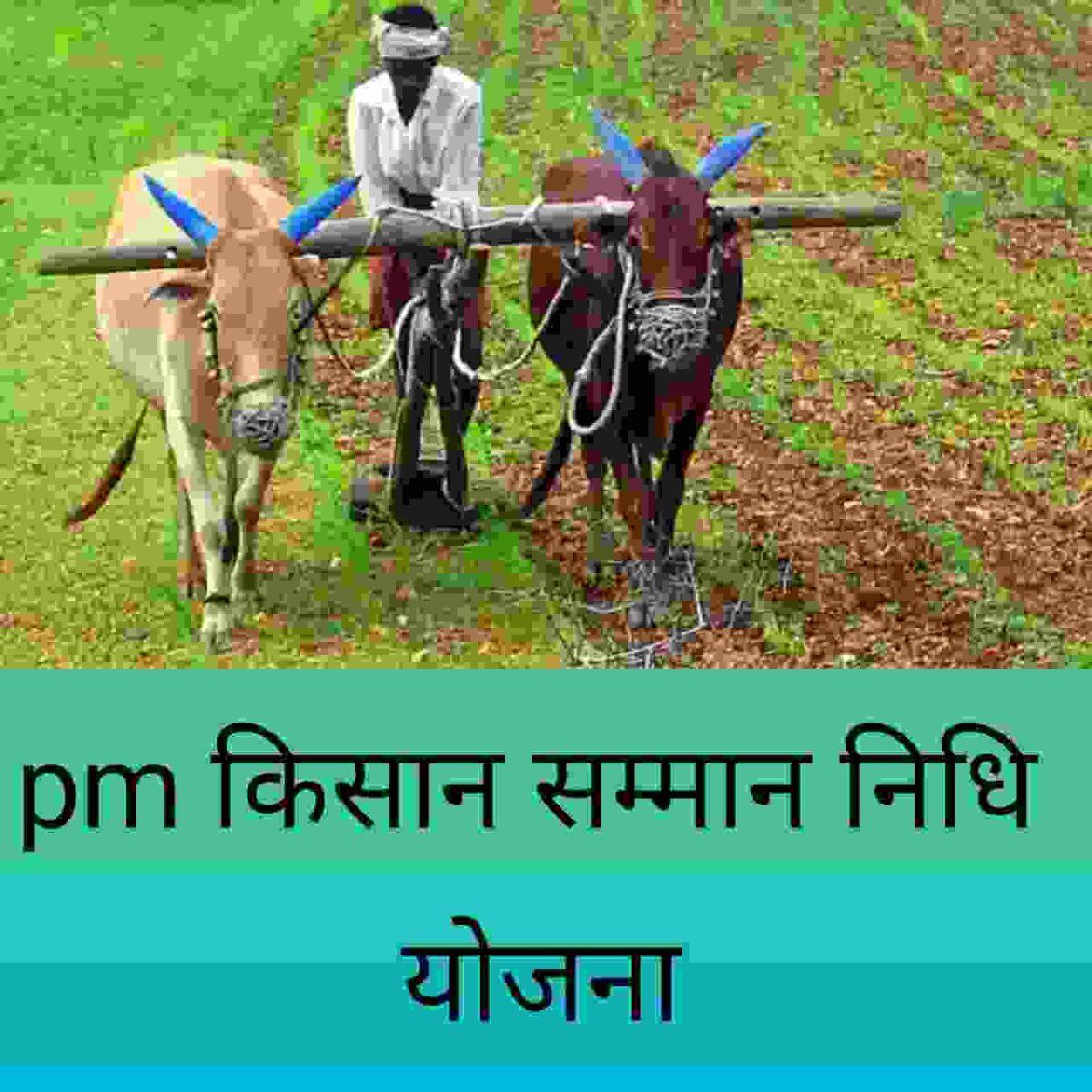 Pm kisan samman nidhi yojana